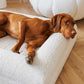 Barklay Größe L+/ XL mit Bouclébezug