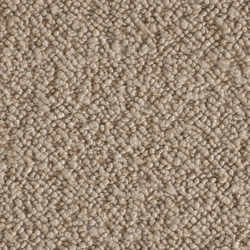 Barklay Größe M/ L mit Bouclébezug